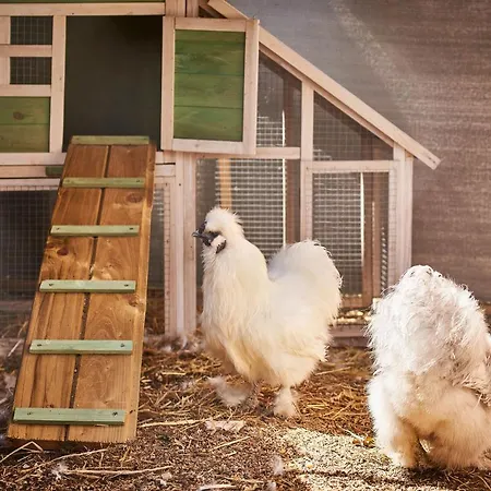 Kyriad Nancy Ouest - Laxou Maxéville